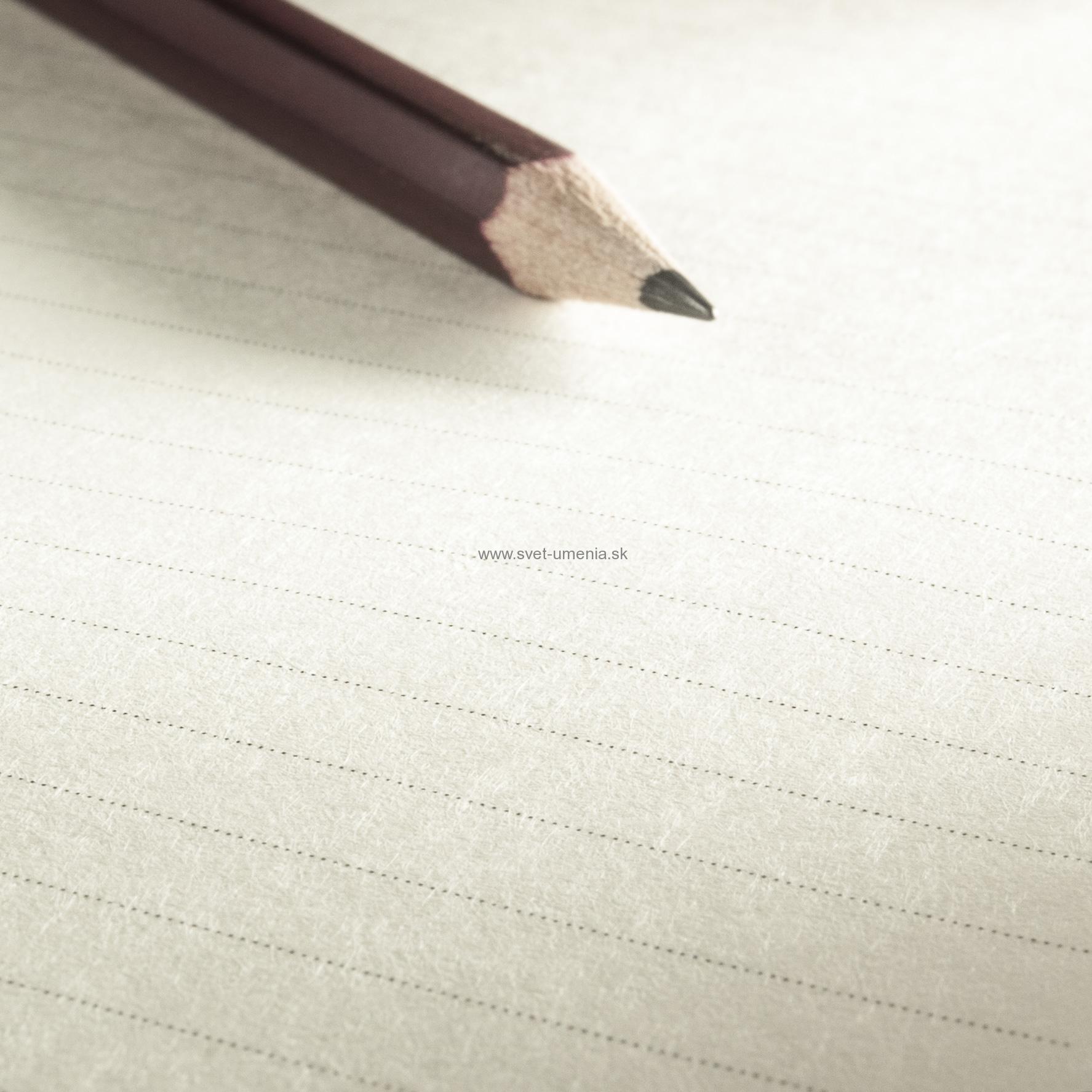 Skicár A6 Diary Sketch Hahnemühle, krúžková väzba, 120g/m2, 60 listov