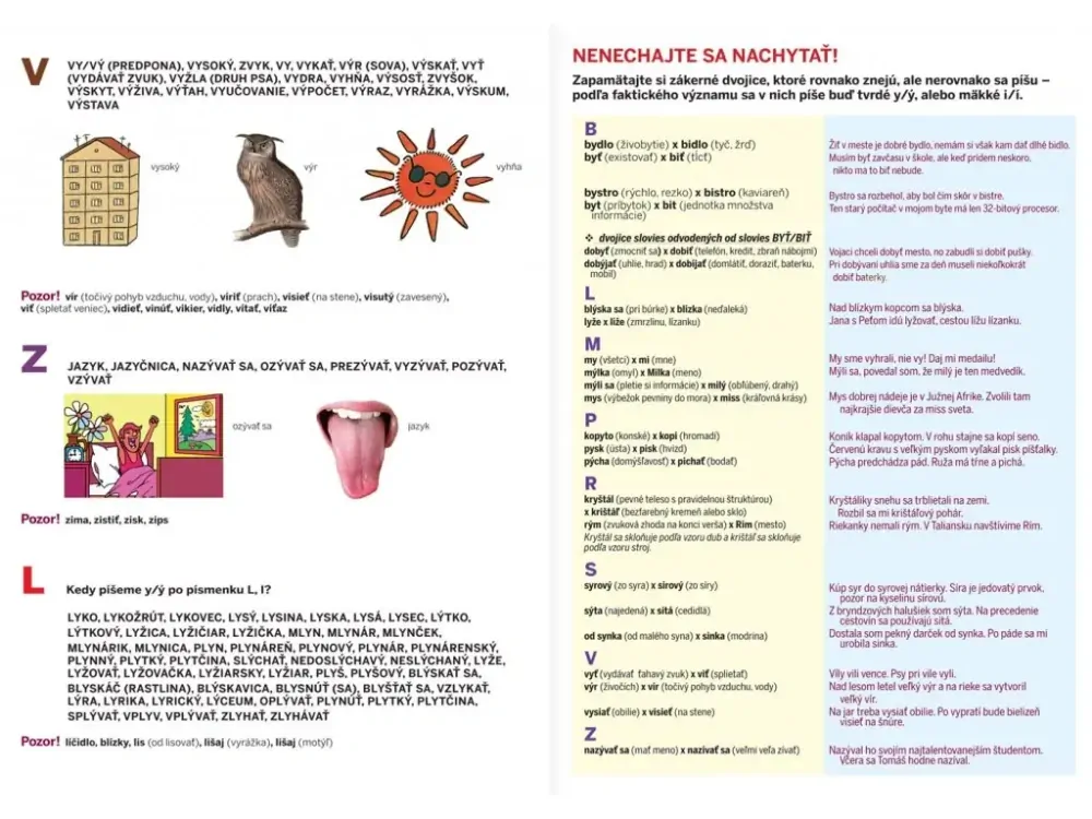 Stručný prehľad slovenskej gramatiky (nielen) pre školákov