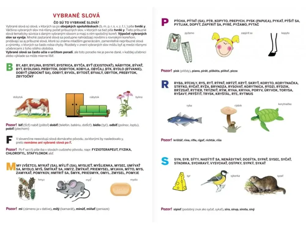 Stručný prehľad slovenskej gramatiky (nielen) pre školákov