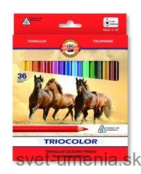 Sada 36 farebných ceruziek TRIOCOLOR KOH-I-NOOR, priemer ceruzky 9,0mm
