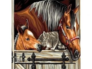 Diamantový obrázok 30x40cm - Kone a mačiatko