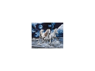 Diamantový obrázok 30x40cm - Kone a spln