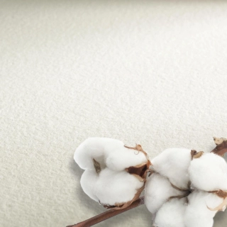 Papier 56 x 76cm na akvarel Collection Hahnemühle - Hot Press, 300g/m2