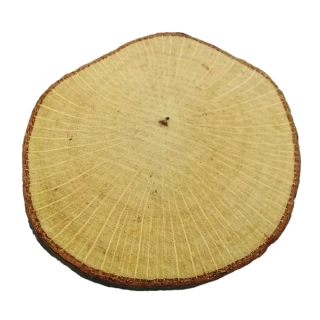 Drevený kruh zo surového dreva cca 40 - 60 mm, 10 kusov