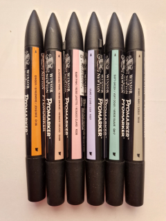 Sada 6 promarkerov W&N 