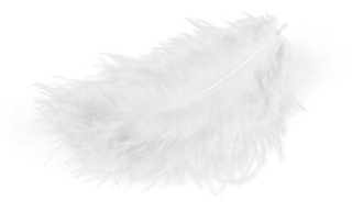 MEYCO Marabu pierka biele, 10-12cm, 17ks