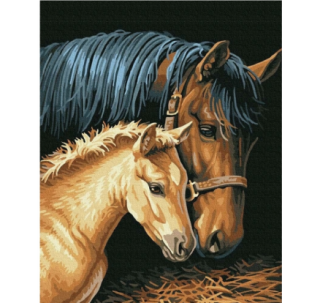 Diamantový obrázok 30x40cm - kone