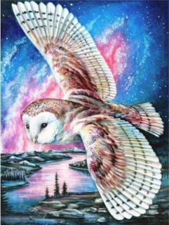 Diamantový obrázok 30x40cm - sova