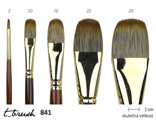 Oválne štetce t_brush, syntetické zlaté štetiny, dlhá rukoväť
